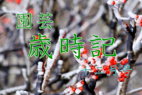 園芸　歳時記　霜月